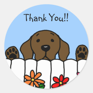 Sticker Rond Le Labrador du chocolat vous observe
