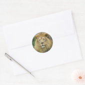 Sticker Rond Le lion (Enveloppe)