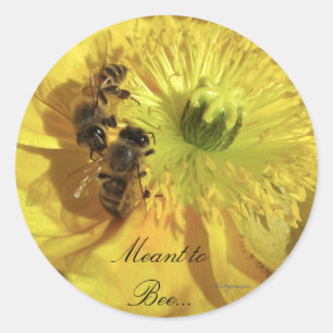 Sticker Rond Le mariage jaune fleurit des joints d'invitation