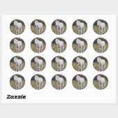 Sticker Rond Le mini en colère (Feuille)
