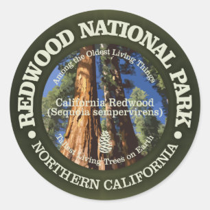 Sticker Rond Le parc national de Redwood