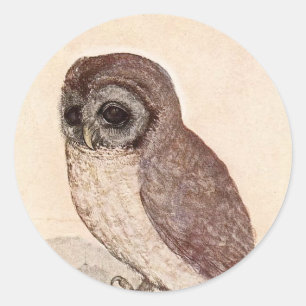 Sticker Rond Le Petit hibou   Albrecht Dürer