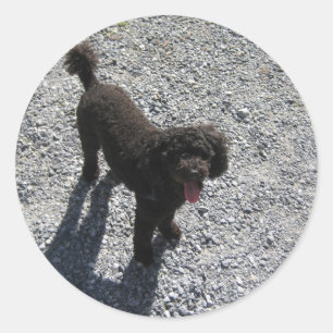 Sticker Rond Le Petit Poodle Noir