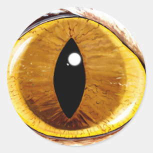 Sticker Rond Le plot réflectorisé peint