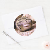 Sticker Rond Le poisson-globe d'Helaine (Enveloppe)