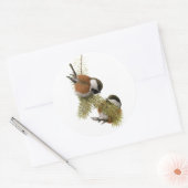 Sticker Rond Le poulet aux châtaignes de Fuertes (Enveloppe)