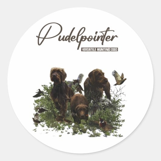 Sticker Rond Le Pudelpointer (Devant)