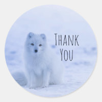 Le renard arctique mou sur le Merci de neige