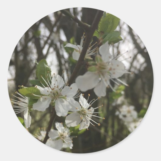 STICKER ROND LE RETIRER - PURETÉ DE L'ESPOIR (Devant)