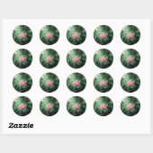 Sticker Rond LE rose vert SWING (Feuille)
