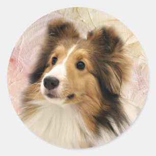 Sticker Rond Le sable Sheltie font face