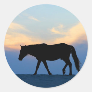 Sticker Rond Le Sunset Beach Horse