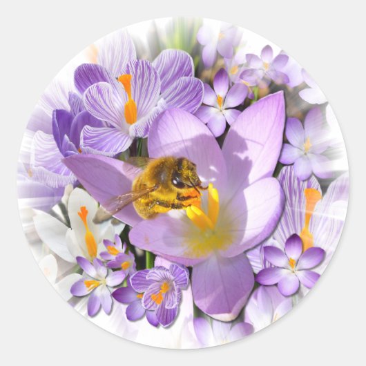 Sticker Rond LE TASTER CROCUS ~ Scellers/Stickers Enveloppe (Devant)