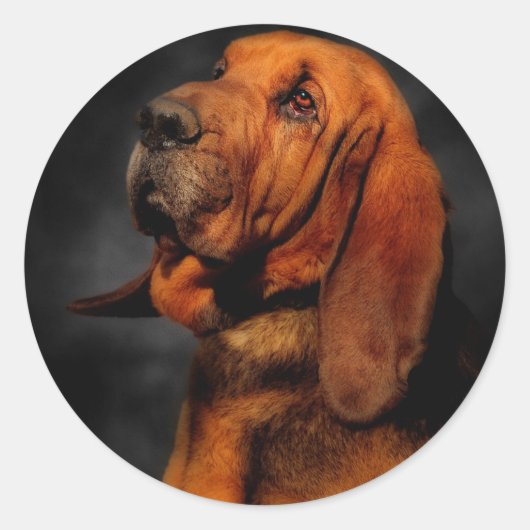 Sticker Rond Le terreau (Devant)