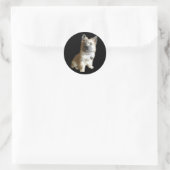 Sticker Rond Le Terrier Cutest Jamais ! Plus mignon que Toto ! (Sac)