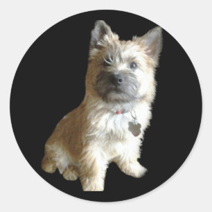 Sticker Rond Le Terrier Cutest Jamais ! Plus mignon que Toto !