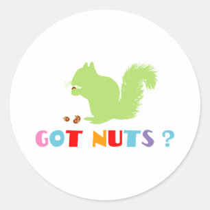 Sticker Rond L'écureuil a des noix ?
