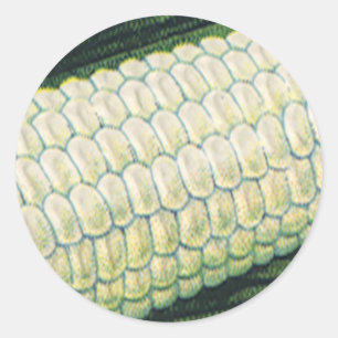 Sticker Rond Légumes alimentaires vintage Maïs blanc en épi