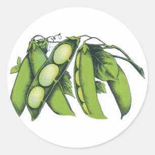 Sticker Rond Légumes vintages ; Haricots de Lima, Aliments Agri