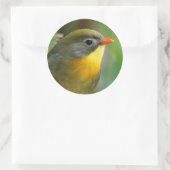 Sticker Rond Leiothrix coloré / Pekin Robin Songbird (Sac)