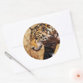 Sticker Rond Leopard (Enveloppe)