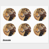 Sticker Rond Leopard (Feuille)