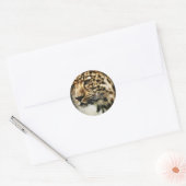 Sticker Rond Léopard (Enveloppe)