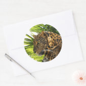 STICKER ROND LEOPARD ET PALMS (Enveloppe)