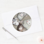 Sticker Rond Les 4 Ferrets de mousquetaire ! (Enveloppe)