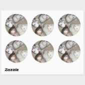 Sticker Rond Les 4 Ferrets de mousquetaire ! (Feuille)