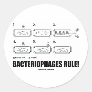 Sticker Rond Les bactériophages sont la règle ! (ADN de virus b