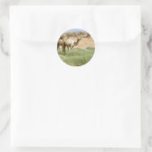 Sticker Rond Les chameaux sauvages (Sac)