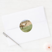 Sticker Rond Les chameaux sauvages (Enveloppe)