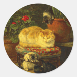 Sticker Rond Les chatons en jeu