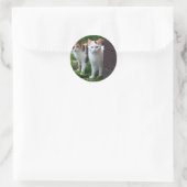 Sticker Rond Les chats jouent (Sac)