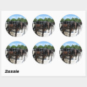 Sticker Rond Les Chevaux Amish Dites Bonjour ! (Feuille)