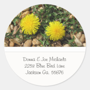 Sticker Rond Les Dandelions S'Adressent Aux Chaussures