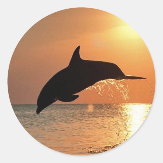 Sticker Rond Les dauphins du coucher du soleil (Devant)