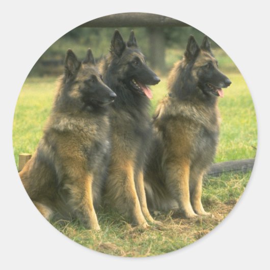 Sticker Rond Les Dogs de German (Devant)