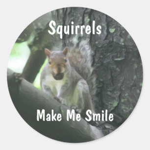 Sticker Rond Les écureuils me font sourire animal