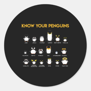 Sticker Rond Les espèces de pingouins connaissent vos pingouins
