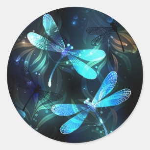 Sticker Rond Les libellules du lac