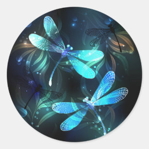 Sticker Rond Les libellules du lac