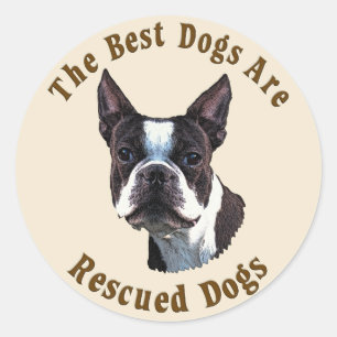 Sticker Rond Les meilleurs chiens sont Secourus - Boston Terrie