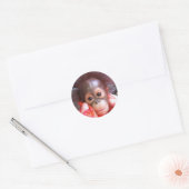 Sticker Rond Les mignons animaux (Enveloppe)