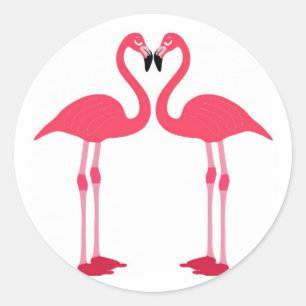 Sticker Rond Les oiseaux de plage tropicaux Flamants roses de d