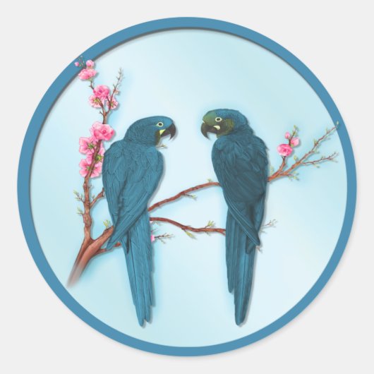 Sticker Rond Les perroquets tropicaux (Devant)