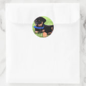 Sticker Rond les petits de rottweiler. (Sac)