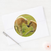 Sticker Rond Les poulains du cheval (Enveloppe)