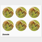 Sticker Rond Les poulains du cheval (Feuille)